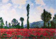 Red Field Poppies